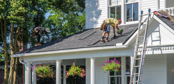 Best Roof Gutter Cleaning  in Shelby, MI