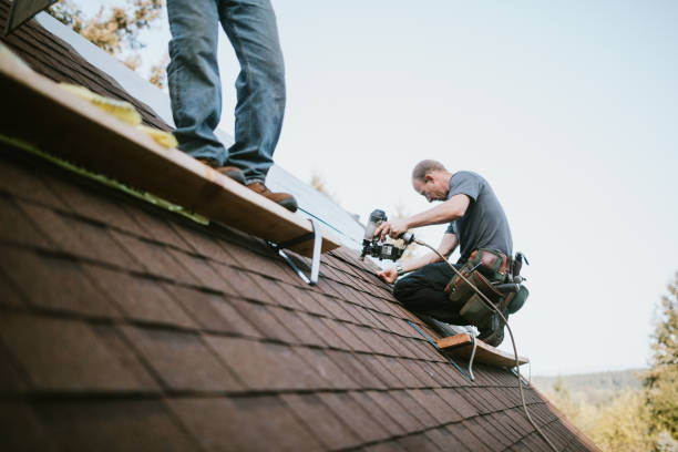 Best Emergency Roof Repair  in Shelby, MI